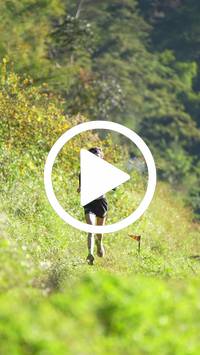 BIB:  <button type="button" onclick="openModal(26571812)" class="btn btn-primary btn-sm float-right" data-toggle="modal" data-target=".modal-high-quality">
                <i class="fa fa-download"></i> Download
                </button>